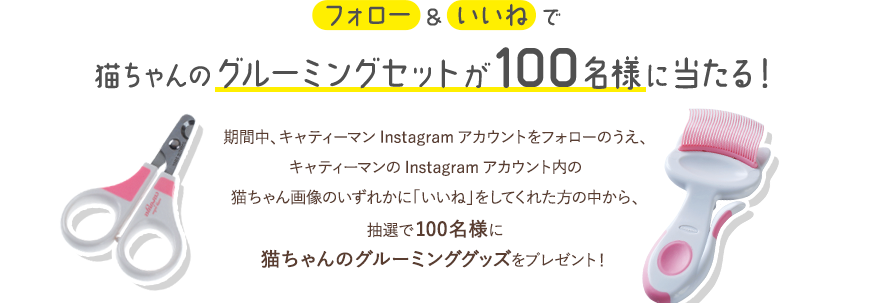 猫ちゃんのグルーミングセットが100名様に当たる！