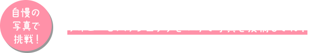 フォロー＆ハッシュタグをつけて写真を投稿してね！