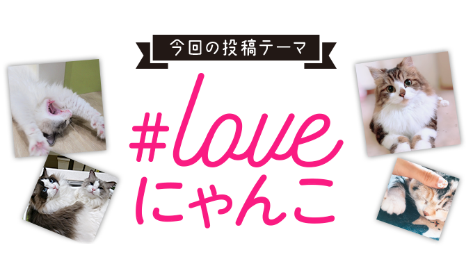 今回の投稿テーマ #loveにゃんこ 【期間】2019年12月27日（金）15:00～2020年2月28日（金）14:59まで