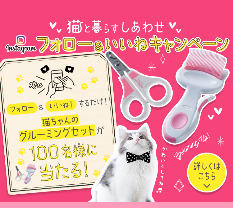 猫と暮らすしあわせ Instagram フォロー＆いいねキャンペーン 【期間】2019年12月27日（金）15：00～2020年2月28日（金）14：59まで